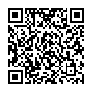 一人一鸟呆在凶兽森林中很容易引出一些高等级凶兽二维码生成