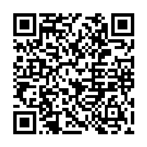 一人更是须弥海内唯一的青莲道胎之体的天才女修二维码生成