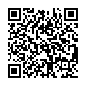 一件件当初从天尊那里搜罗过来的防御法宝一起抛出来二维码生成