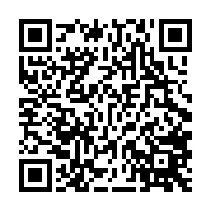 一件价值两三万中品圣石的天地奇物却只拍卖出了三千中品圣石二维码生成