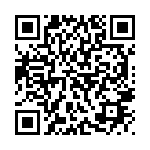 一件锁子甲　出现在菲尼斯的身上二维码生成