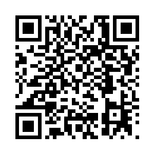 一份圣药就可以打造一个武宗级强者二维码生成