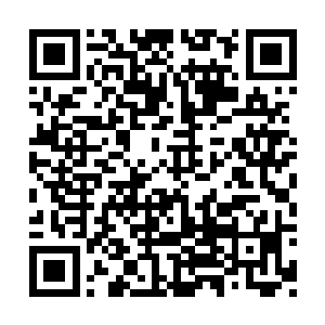 一众男弟子在偷偷打量怜欲与婴宁之中快步跟上二维码生成