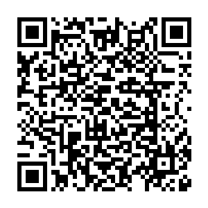 一会儿又仿佛看到那个雪天跑出去被龙弦大叔抓回来一顿打的龙野二维码生成