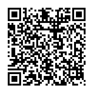 一会儿等整理完毕之后孙雅儿终于对这个七彩小塔有了一个大致的了解二维码生成