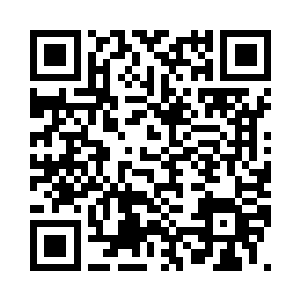 一会打起来的时候我们都照顾不了他二维码生成