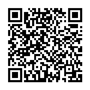 一位年过半百的黑手党大佬就静静地坐在这一张长桌的顶端处二维码生成