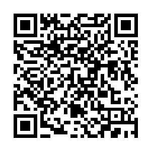 一位曼妙的红衣少女带着魅惑的笑容走到君墨皇的身边二维码生成