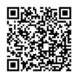 一位穿着一身崭新华贵古代样式官服的中年男子站在石柱的后面二维码生成