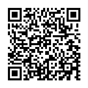 一公斤就是一千点……二十公斤……我们能赚到……两万点二维码生成