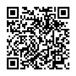 一具具森白鬼影包裹的白骨巨兽诡异的僵住脚步二维码生成