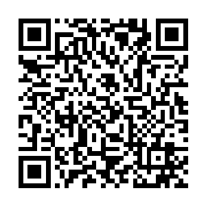 一具高达二十多米的骷髅君王从空间裂缝当中走出来二维码生成