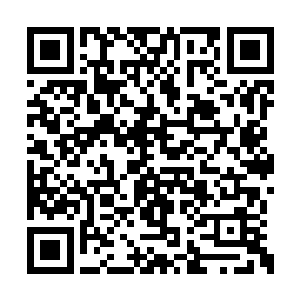 一刀就把身旁的一条巨狼的脑袋直接劈飞了出去二维码生成