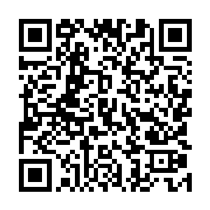 一分钟足以确认这boss身上除了任务物品以外什么都没有二维码生成