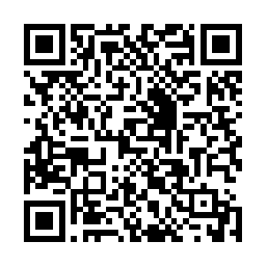 一切只是因为我那宝贝孙女是十万年都难以见到的水灵之体二维码生成