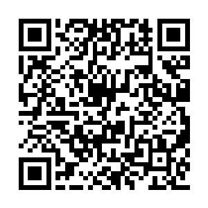 一切的一切都与原剧情发生的场景丝丝入扣……二维码生成