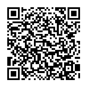 一切行动都由那一块泰坦神令来控制的……这一次的追杀行动由赫尔墨斯主导二维码生成