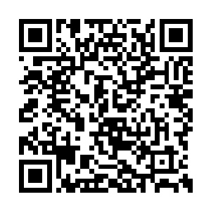 一副独枝挂梅景图就这样盘着下联之字渲染开来二维码生成