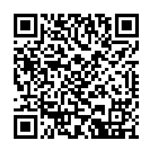 一千万个厨师里面才能挑选出一个最精英的厨师二维码生成