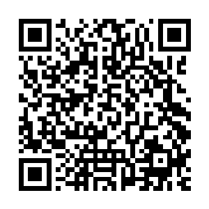 一千万美元的投资几乎是创了张东城成名以来的最低投资额度二维码生成