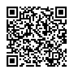 一半身体露在外面的双头裂体瞬间被拖进了白圆中二维码生成