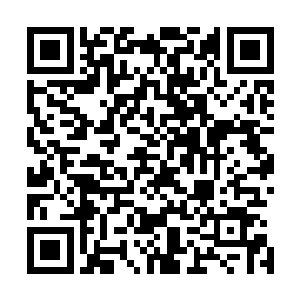 一双凶猛炽烈的火眼不时转动盯着两只彩羽鸟儿的飞行轨迹二维码生成