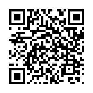 一双前爪靠在剑尘的身体上人立而起二维码生成