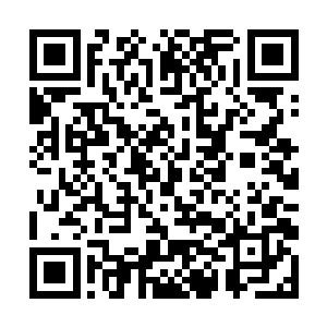 一双双惊骇额的眼球当中充斥着无法言明的震惊之色二维码生成