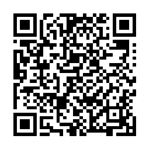 一双圆溜溜眼睛咕噜噜地转动着上下打量着面如死灰的宸王二维码生成