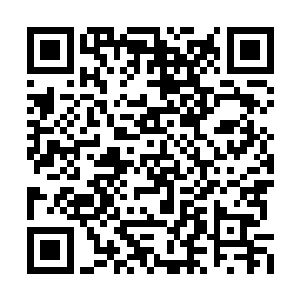 一双恶狼战靴踩在了黑炭左右腹部的锋利锥身上二维码生成