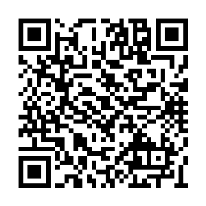 一双愤愤不平的小手最终也抓住了他的衬衣衣角二维码生成