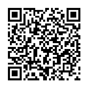 一双湛蓝色的眸子冷冷地盯着火翼振动的李月茹质问道二维码生成