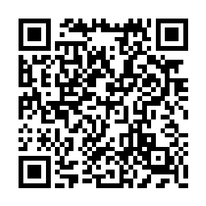 一双犀利的目光在下面十个人的身上一一地扫过二维码生成