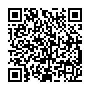 一双眼睛立即瞪得铜铃大小死死的盯着趴在剑尘肩上的小白虎二维码生成