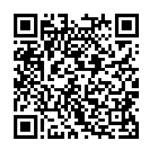 一双秋水眸子却是下意识在香喷喷的酱牛肉上打转二维码生成