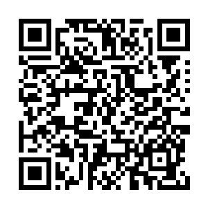 一双美眸大胆中带着一丝挑衅示威地看着夏云杰二维码生成