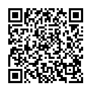 一双锋利的爪子与战魂剑乒乒乓乓的斗在了一起二维码生成