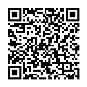 一口气在半空中连续变向几十次来躲闪妖兽的攻击二维码生成