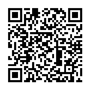 一口白的晶莹的牙齿在耀眼的阳光下闪着晶莹的光泽二维码生成