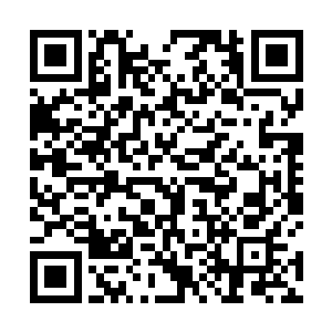 一句反驳立刻就让莱昂纳多那青涩的脸庞微微泛红起来二维码生成