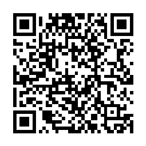 一句实在话都没有…………我不是到这里来被人囚着的二维码生成