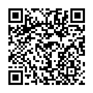 一只不过巴掌大的纯白小兽正在里面团成一团呼呼大睡着二维码生成