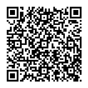 一只只的翼魔正用零零散散的阵型在距离地面几百米高的天空之中一遍又一遍的巡视着二维码生成