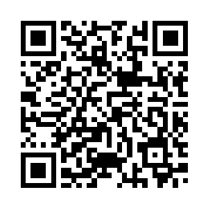 一只只野狗野猫还有其他小动物们二维码生成