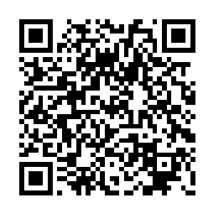 一只吊睛白额猛虎已威风凛凛的出现在二人眼前二维码生成