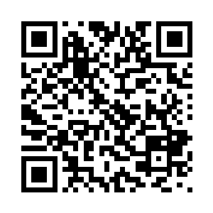 一只小乌龟就哼哧哼哧地跑了过来二维码生成