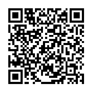 一只就七只羊哪里用的到巴里家里的大拖车还有大皮卡二维码生成