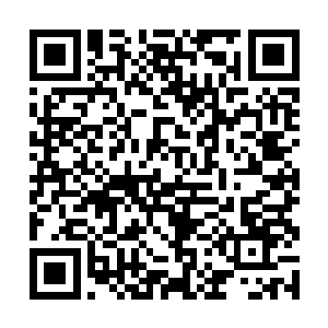 一只巨大无比的龙形虚影也张牙舞爪的朝着我们咬来二维码生成