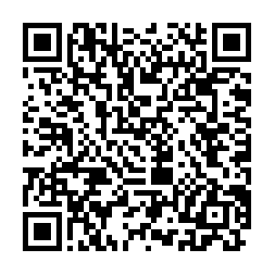 一只比刚才的蚀骨狼还要体型大上一圈的蚀骨狼迈着步伐朝这边走来二维码生成