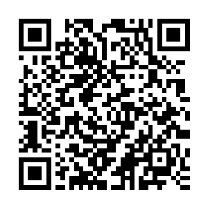 一只没声没响的杨辰慢悠悠走到不断嘶吼状态的唐老爷子面前二维码生成